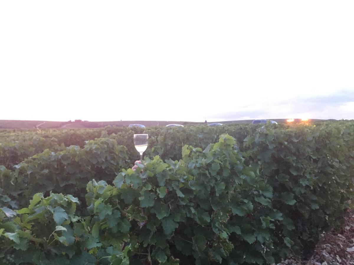 Le Logis St Pere Sancerre Exterior foto